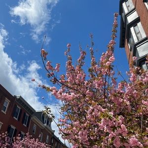 Meet your Posher, Joy